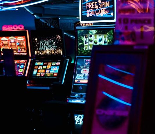 6-asiaa,-jotka-jokaisen-tulisi-tietää-Pets-kolikkopelistä